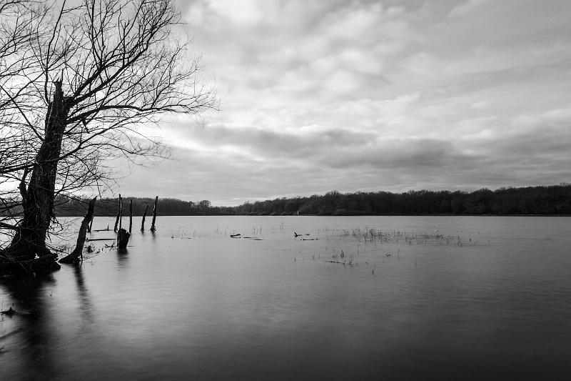 2020_01_05_Etang de Vaux et Baye (0004).jpg - Etang de Vaux (Janvier 2020)